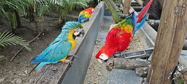 img00032.jpg