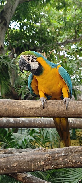 img00033.jpg