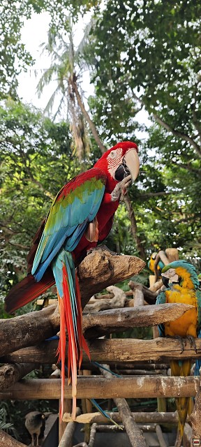 img00034.jpg