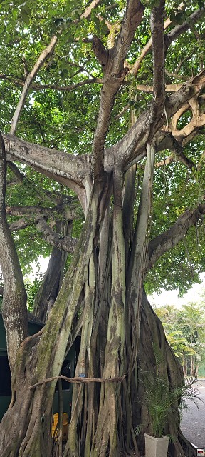img00037.jpg