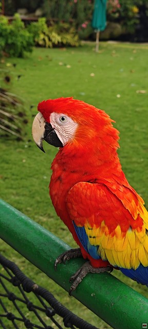 img00042.jpg