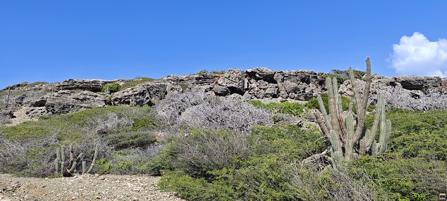 img00004.jpg