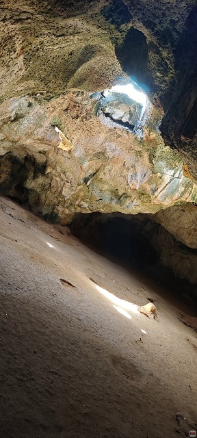 img00010.jpg