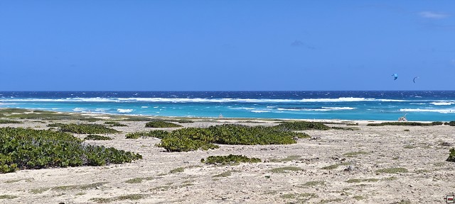 img00015.jpg