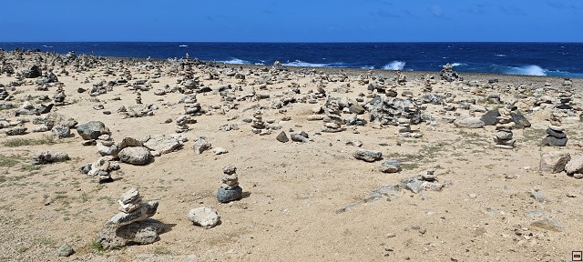 img00017.jpg