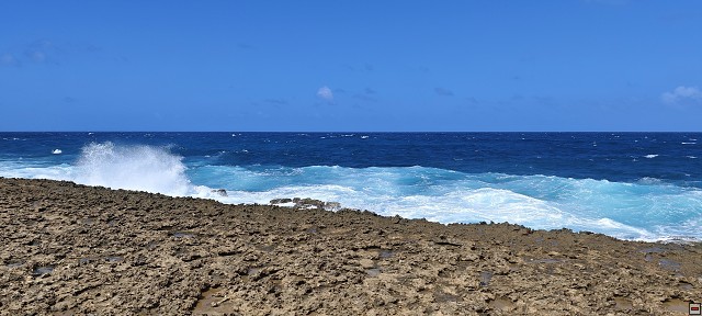 img00019.jpg