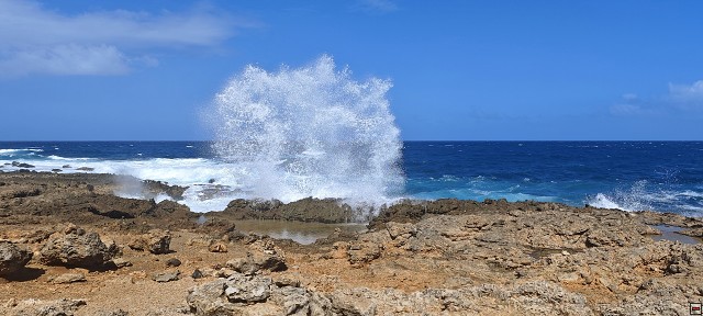 img00027.jpg