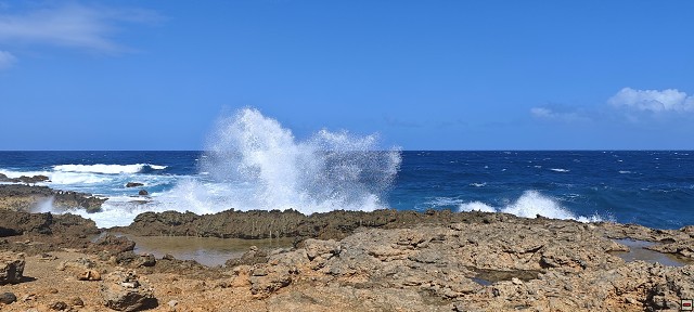 img00028.jpg