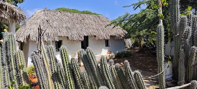img00009.jpg