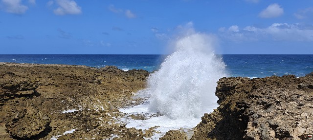 img00012.jpg
