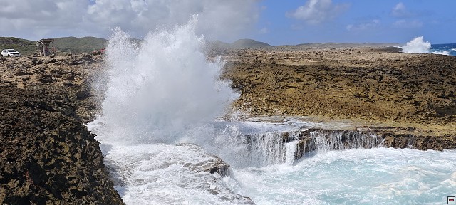 img00016.jpg
