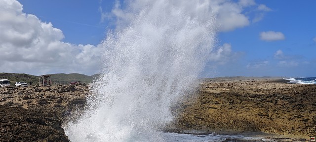 img00017.jpg