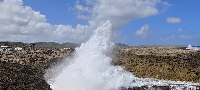 img00019.jpg