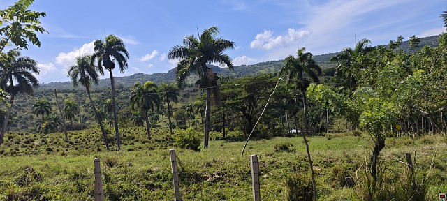 img00013.jpg