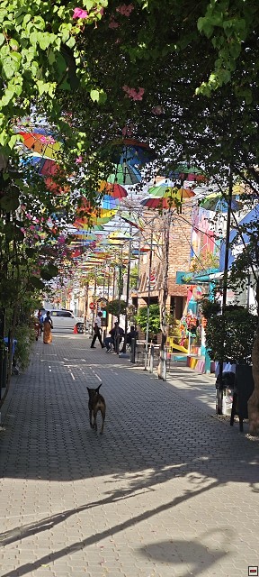 img00019.jpg