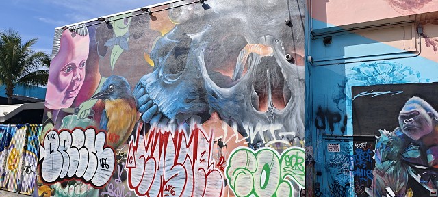 img00021.jpg