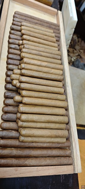 img00030.jpg