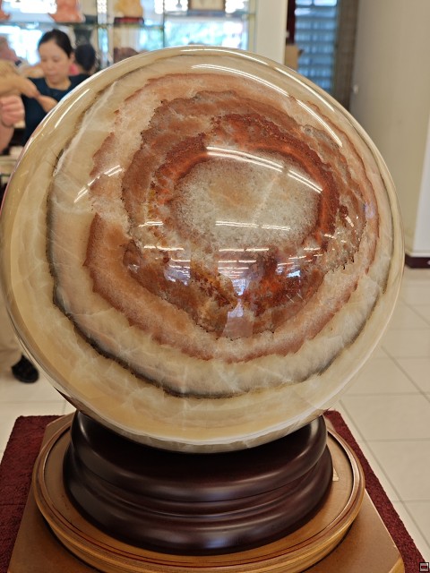img00008.jpg