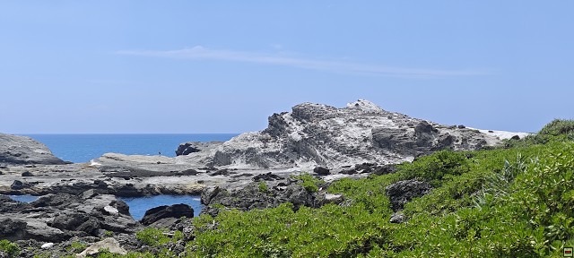 img00005.jpg