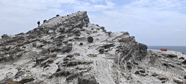 img00008.jpg