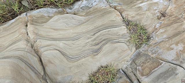 img00031.jpg