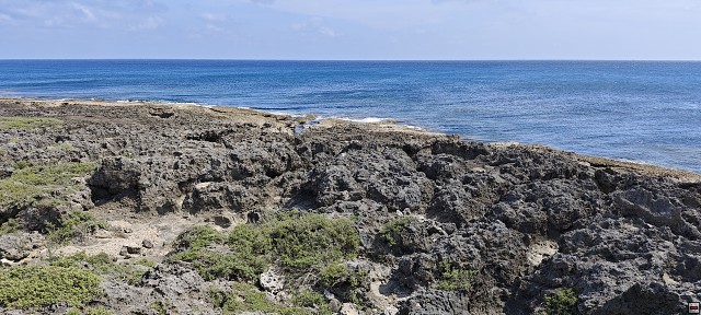 img00018.jpg