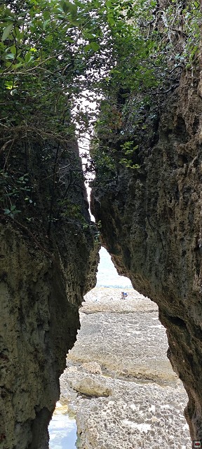 img00019.jpg
