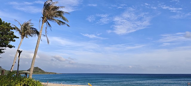 img00022.jpg