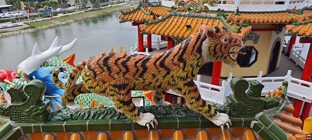 img00029.jpg