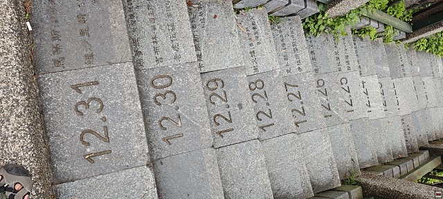 img00017.jpg