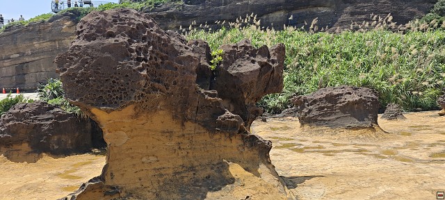 img00008.jpg