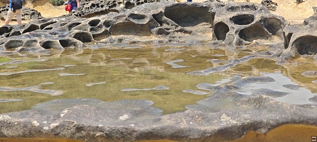 img00009.jpg