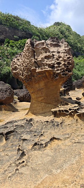 img00010.jpg
