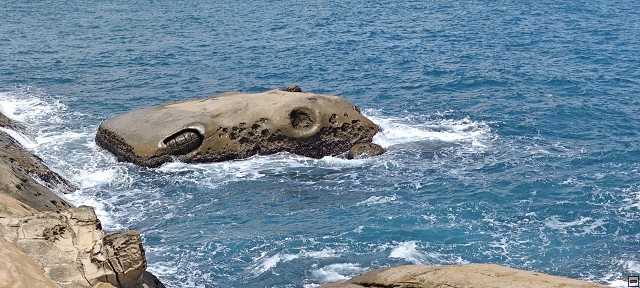 img00025.jpg