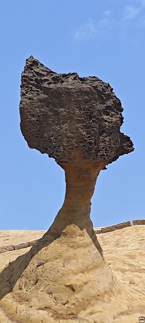 img00026.jpg