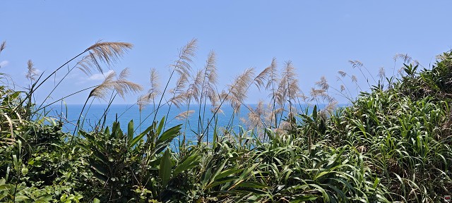 img00032.jpg