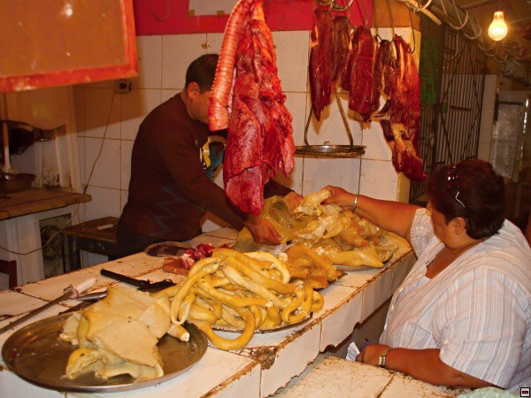 img00005.jpg