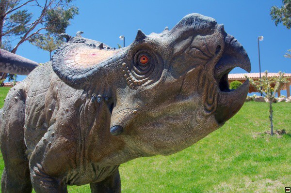 img00010.jpg