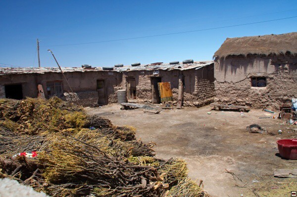 img00011.jpg