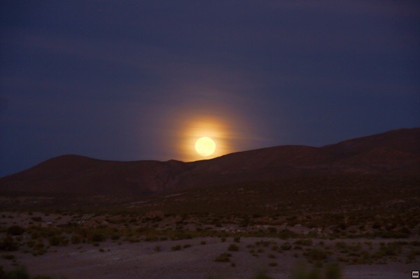 img00035.jpg
