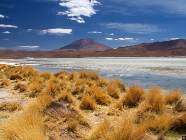 img00014.jpg