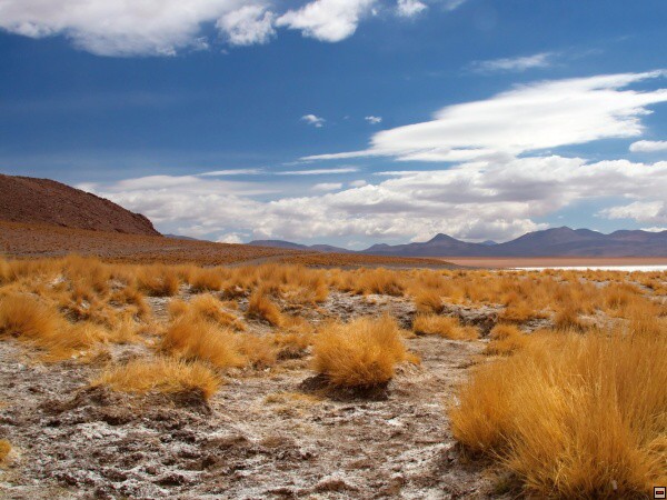 img00010.jpg