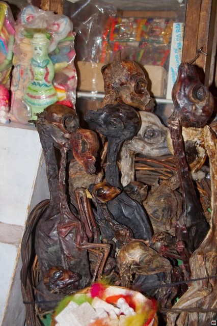img00005.jpg
