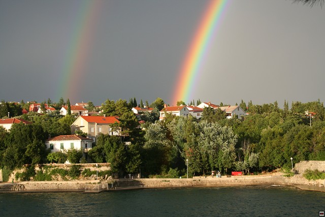 img00017.jpg