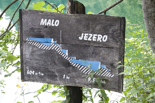 img00020.jpg
