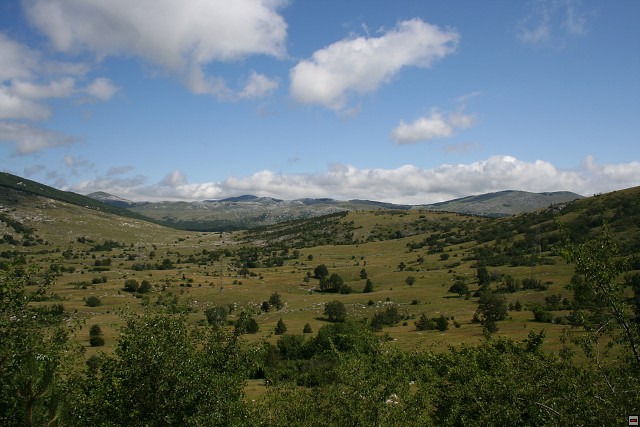 img00001.jpg