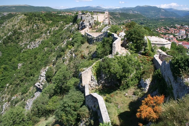 img00010.jpg