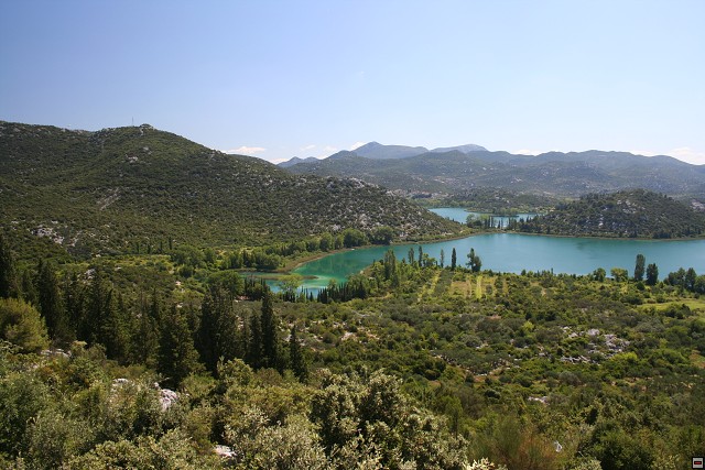 img00001.jpg