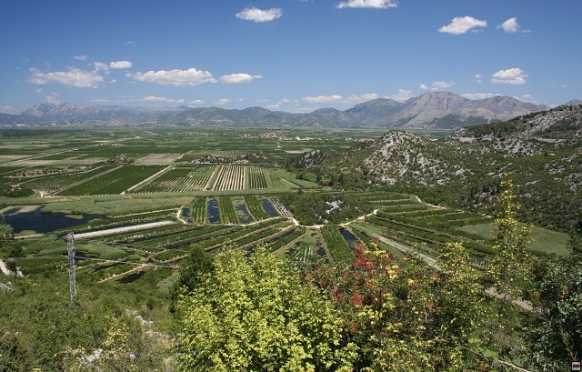 img00002.jpg