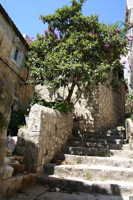 img00019.jpg